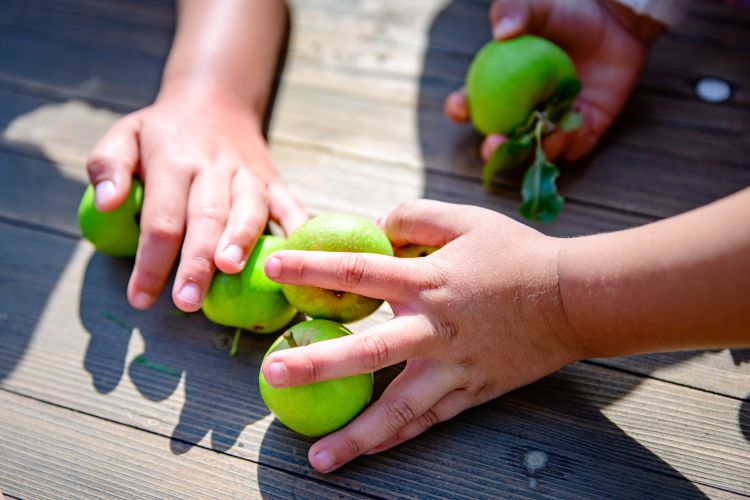 Interdisziplinäre und Heilpädagogische Frühförderung